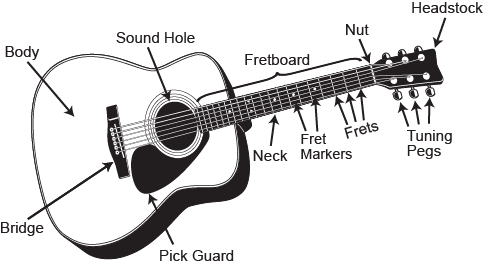 Diagram of an Acoustic Guitar